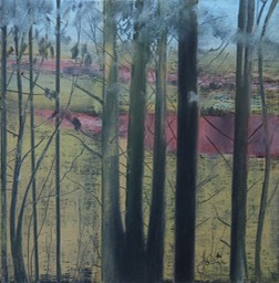 Angus Fields