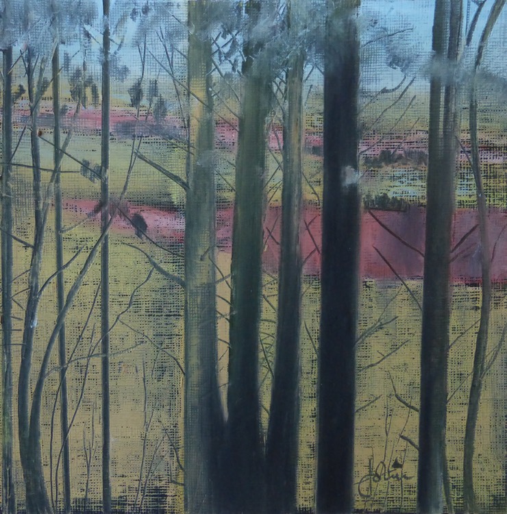 Angus Fields