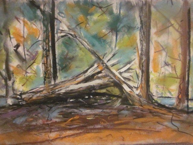 Jaques Richard sundered tree, Dunkeld